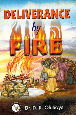 Cover of the book Deliverance by Fire by Dr. D. K. Olukoya