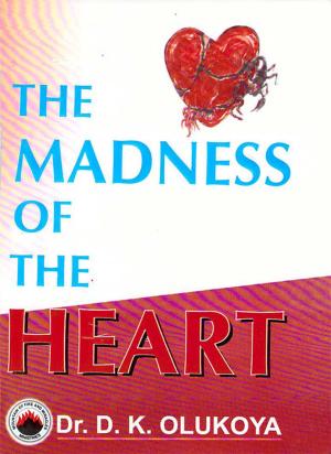 Cover of the book The Madness of the Heart by Dr. D. K. Olukoya