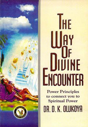Cover of the book The Way of Divine Encounter by Olatubosun Matthew Macaulay
