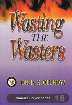 Cover of the book Wasting the Wasters by Dr. D. K. Olukoya