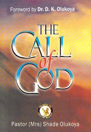 Cover of the book The Call of God by Dr. D. K. Olukoya