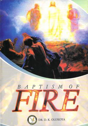 Cover of the book Baptism of Fire by Dr. D. K. Olukoya