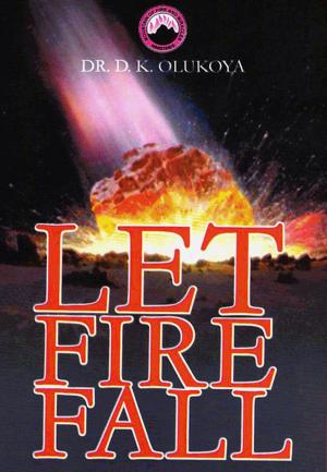 Cover of the book Let Fire Fall by Wendy Beckett