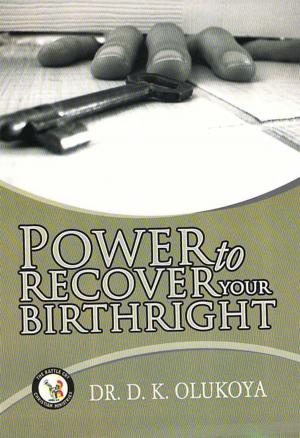 Cover of the book Power to Recover your Birthright by Dr. D. K. Olukoya