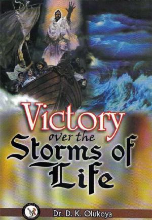 Cover of the book Victory Over the Storms of Life by Dr. D. K. Olukoya