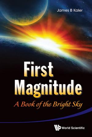 Cover of the book First Magnitude by Jie Xu