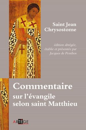 Cover of the book Commentaire sur l'évangile selon saint Matthieu by Alexia Vidot, Martin Steffens