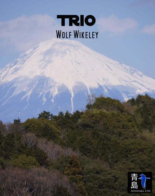 Cover of the book Trio by Wolf Wikeley, Aoshima Ltd.
