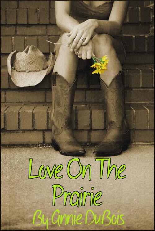 Cover of the book Love on the Prairie by Annie DuBois, Annie DuBois Erotic Fiction