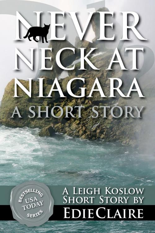 Cover of the book Never Neck at Niagara by Edie Claire, Stackhouse Press