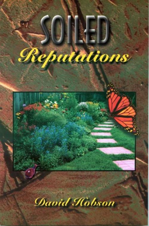 Cover of the book Soiled Reputations by David Hobson, Flip Publishing