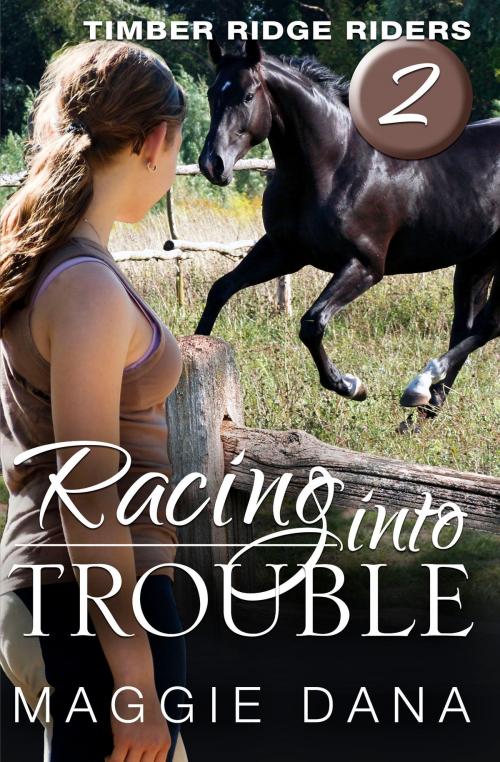Cover of the book Racing into Trouble by Maggie Dana, Pageworks Press