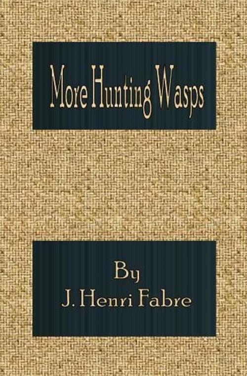 Cover of the book More Hunting Wasps by J. Henri Fabre, cbook