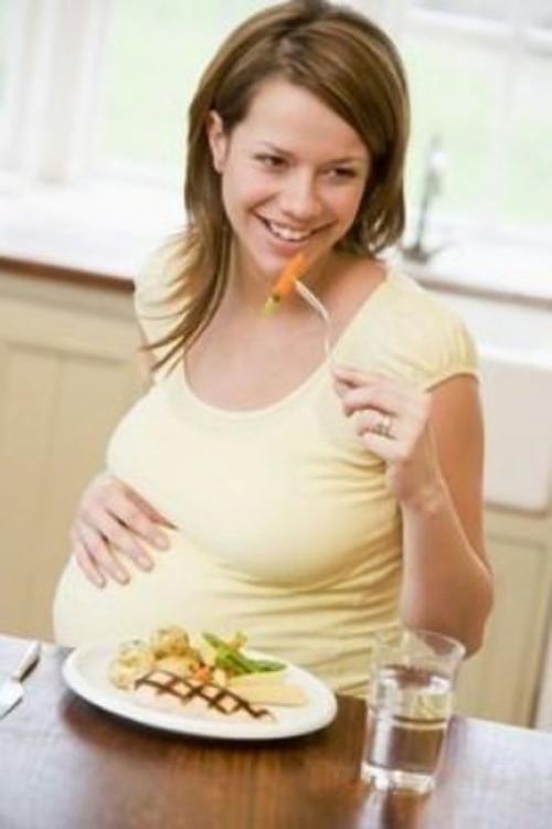 Cover of the book Pregnancy Nutrition for Beginners by Sidney Harper, Axel Publishing