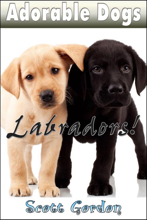 Cover of the book Adorable Dogs: Labradors! by Scott Gordon, S.E. Gordon