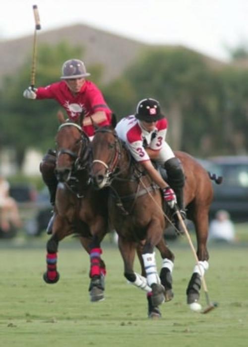 Cover of the book How to Play Polo by Brian Medlin, Axel Publishing