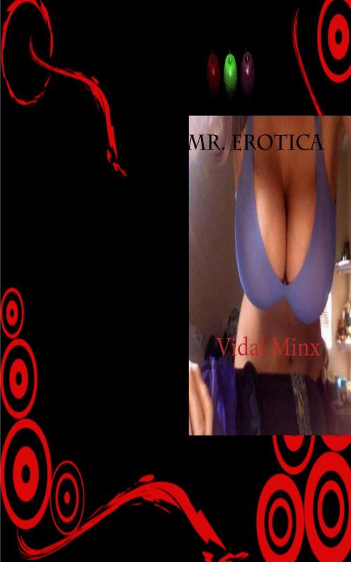 Cover of the book Mr. Erotica by Vidal Minx, Bighouse-pub