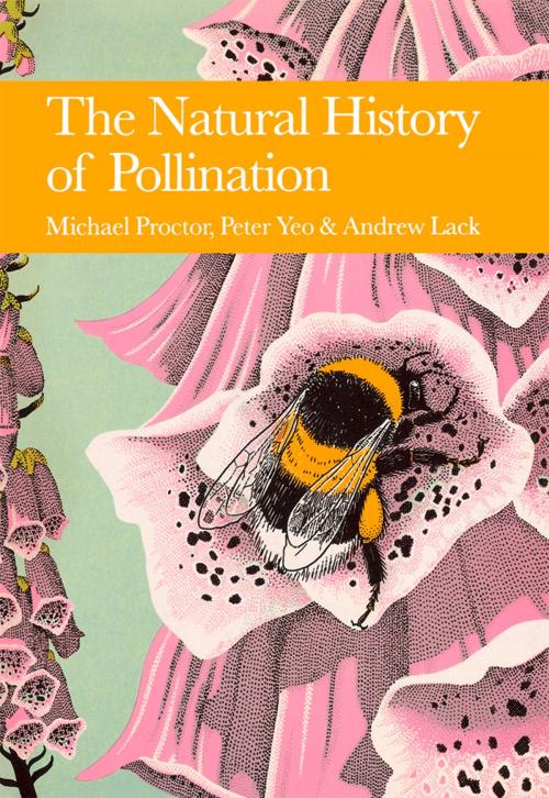 Cover of the book The Natural History of Pollination (Collins New Naturalist Library, Book 83) by Michael Proctor, Peter Yeo, Andrew Lack, HarperCollins Publishers