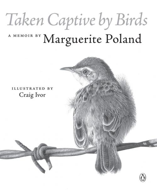 Cover of the book Taken Captive by Birds by Marguerite Poland, Penguin Random House South Africa