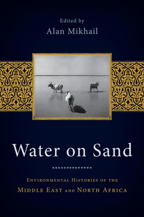 Cover of the book Water on Sand by , Oxford University Press