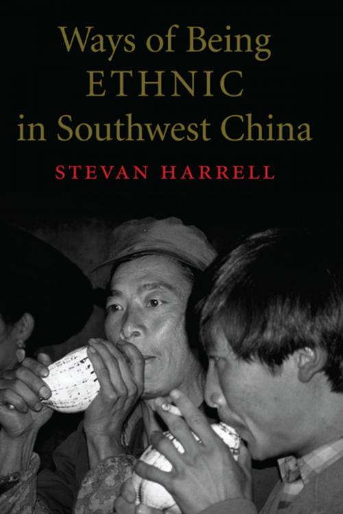 Cover of the book Ways of Being Ethnic in Southwest China by Stevan Harrell, University of Washington Press