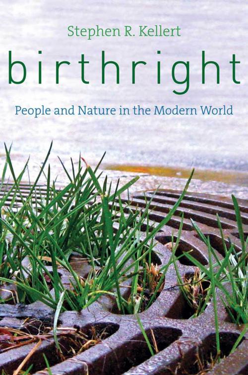 Cover of the book Birthright: People and Nature in the Modern World by Stephen R. Kellert, Yale University Press