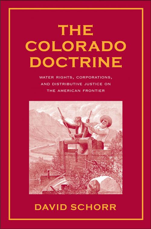 Cover of the book The Colorado Doctrine by Prof. David Schorr, Yale University Press
