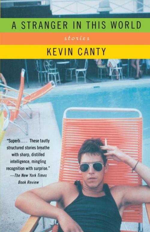Cover of the book A Stranger in This World by Kevin Canty, Knopf Doubleday Publishing Group
