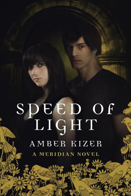 Cover of the book Speed of Light by Amber Kizer, Random House Children's Books
