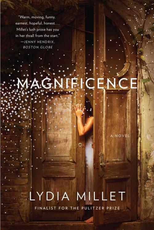 Cover of the book Magnificence: A Novel by Lydia Millet, W. W. Norton & Company
