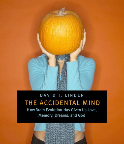 Cover of the book The Accidental Mind by David J. Linden, Harvard University Press