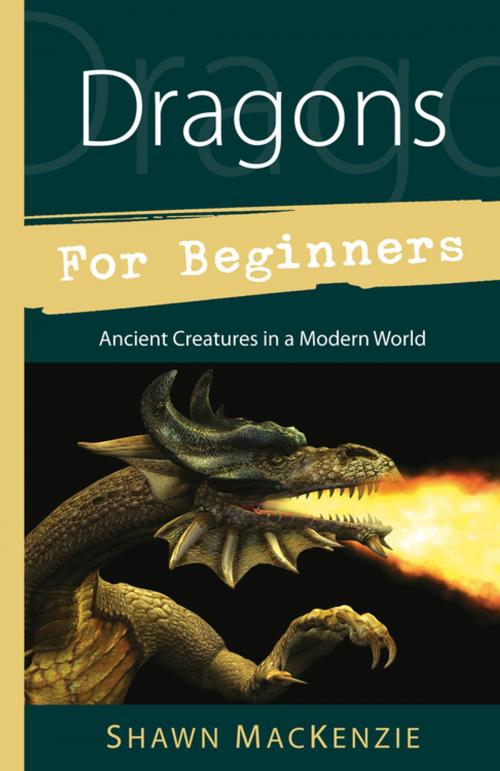 Cover of the book Dragons for Beginners by Shawn MacKenzie, Llewellyn Worldwide, LTD.