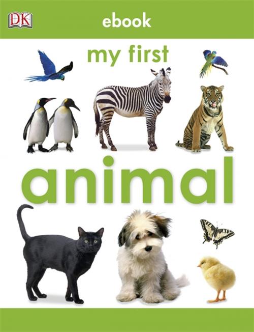Cover of the book My First Animal by DK, DK Publishing
