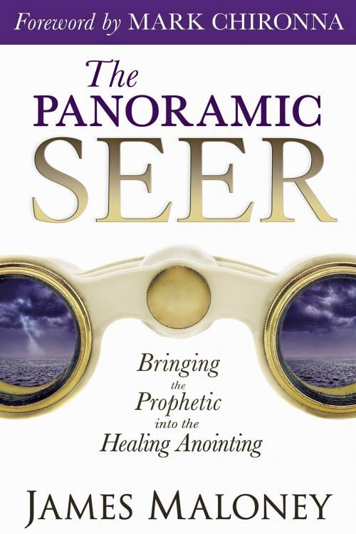 Cover of the book The Panoramic Seer: Bringing the Prophetic into the Healing Anointing by James Maloney, Destiny Image, Inc.