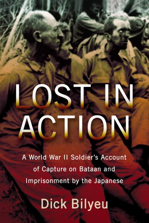 Cover of the book Lost in Action by Dick Bilyeu, McFarland & Company, Inc., Publishers