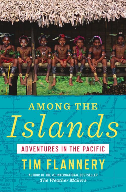 Cover of the book Among the Islands by Tim Flannery, Grove Atlantic
