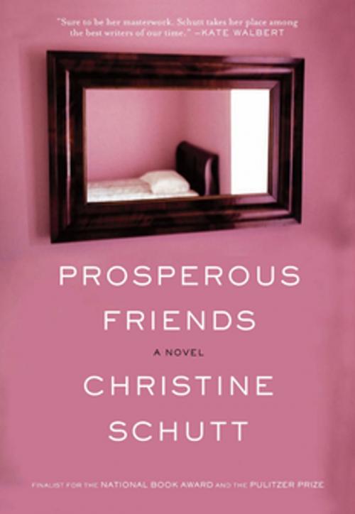 Cover of the book Prosperous Friends by Christine Schutt, Grove/Atlantic, Inc.
