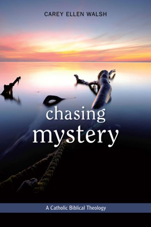 Cover of the book Chasing Mystery by Carey Walsh, Liturgical Press