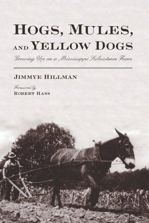 Cover of the book Hogs, Mules, and Yellow Dogs by Jimmye Hillman, University of Arizona Press