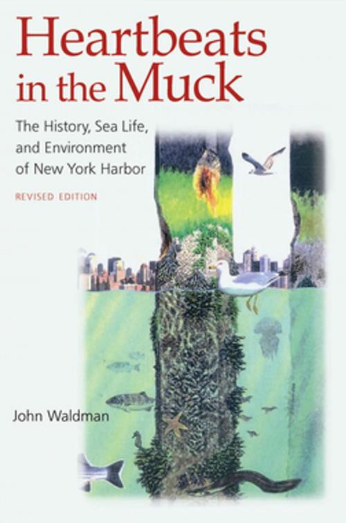 Cover of the book Heartbeats in the Muck by John Waldman, Fordham University Press