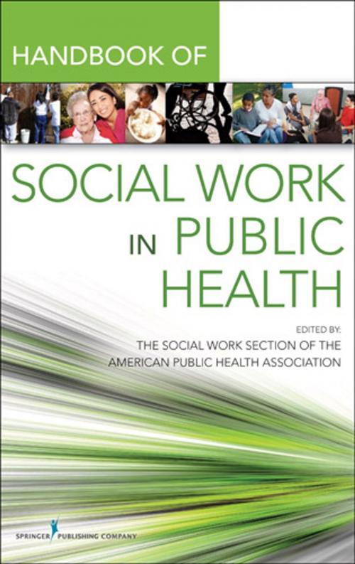 Cover of the book Handbook for Public Health Social Work by Elaine T. Jurkowski, MSW, PhD, Robert Keefe, PhD, Springer Publishing Company