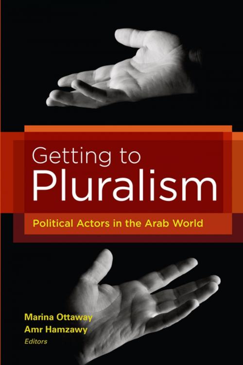 Cover of the book Getting to Pluralism by , Brookings Institution Press
