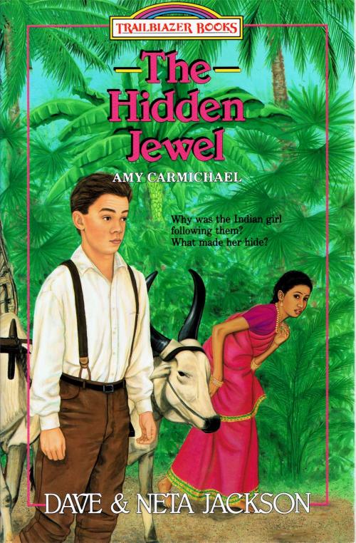 Cover of the book The Hidden Jewel by Dave Jackson, Neta Jackson, Castle Rock Creative, Inc.