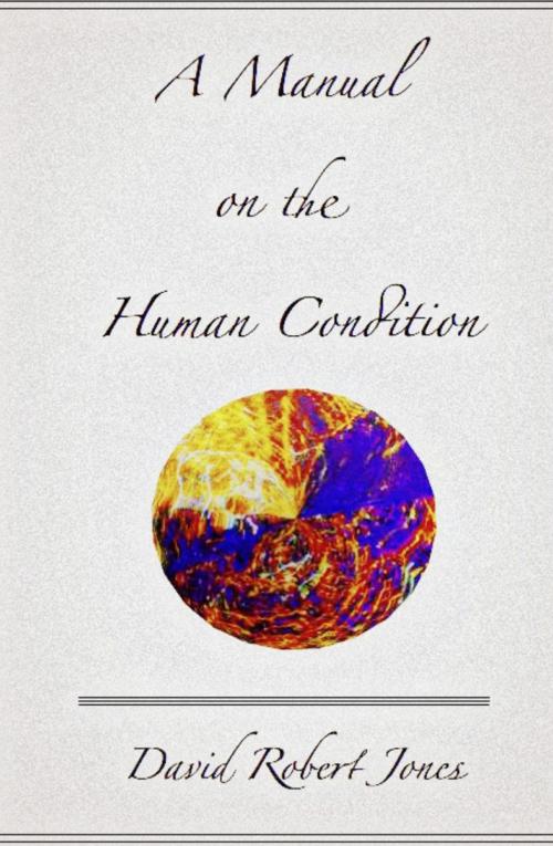 Cover of the book A Manual on the Human Condition by David Robert Jones, DaveyRJones