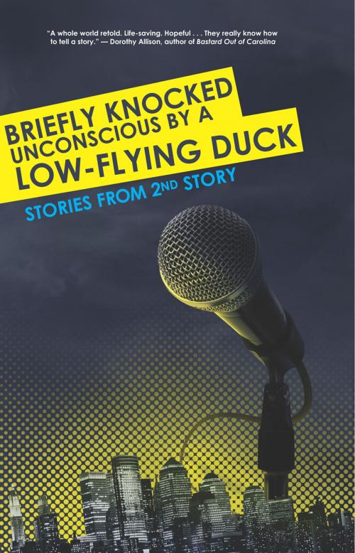 Cover of the book Briefly Knocked Unconscious by a Low-Flying Duck by , Elephant Rock Productions, Inc.