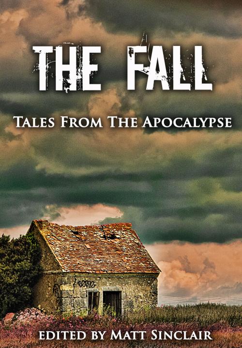 Cover of the book The Fall by Matt Sinclair, Matt Sinclair