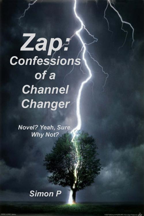 Cover of the book Zap: Confessions of a Channel Changer by Simon P, Dr. Heinrich Gautier