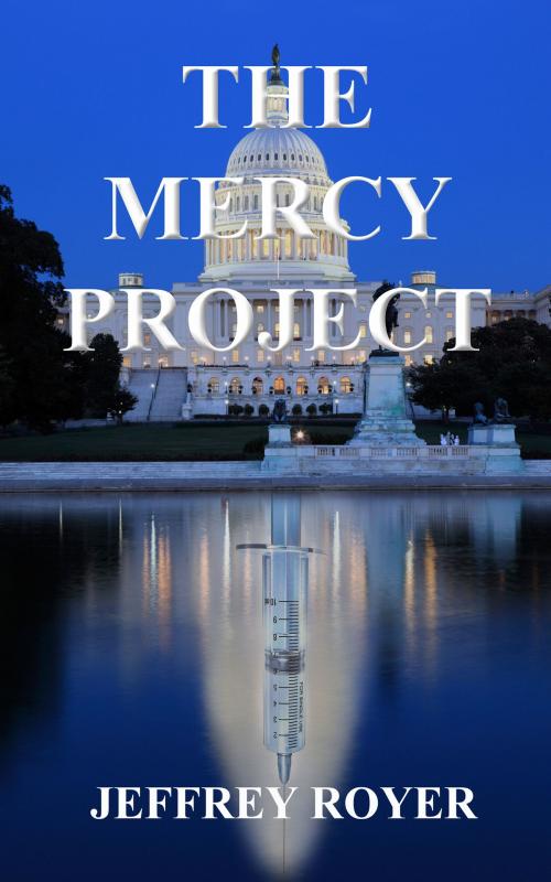 Cover of the book The Mercy Project by Jeffrey Royer, Jeffrey Royer