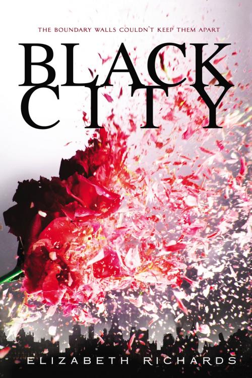 Cover of the book Black City by Elizabeth Richards, Penguin Young Readers Group