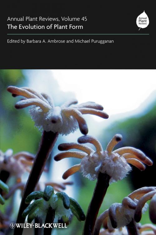 Cover of the book Annual Plant Reviews, The Evolution of Plant Form by , Wiley